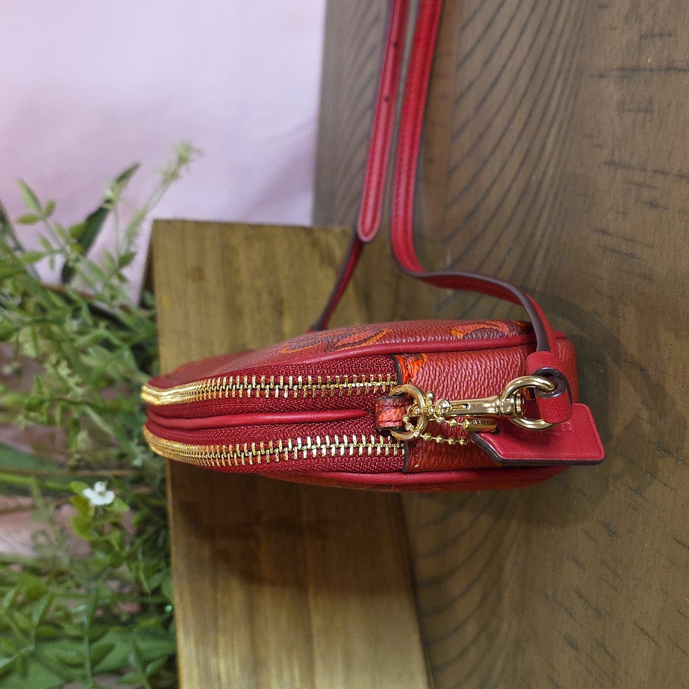 Coach Sadie Crossbody #31826 - Picture 4 of 9